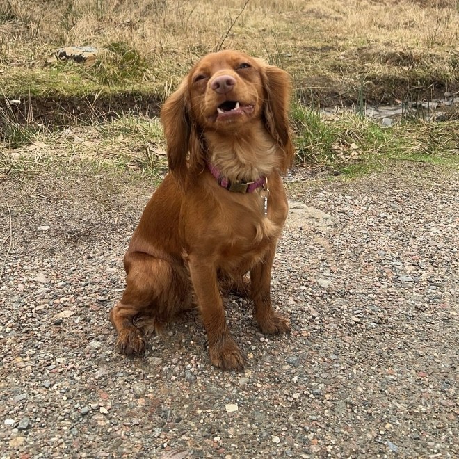 Amy